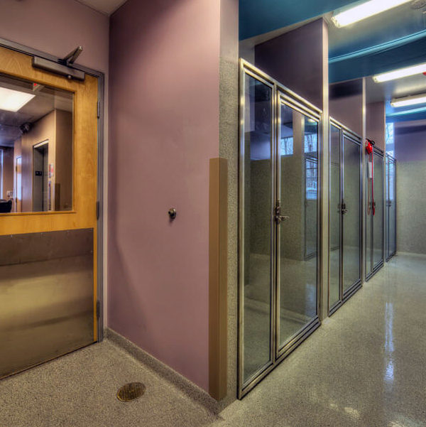 Memorial Animal Hospital Millstone Management Group