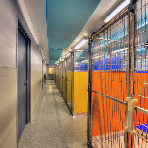 Memorial Animal Hospital Millstone Management Group