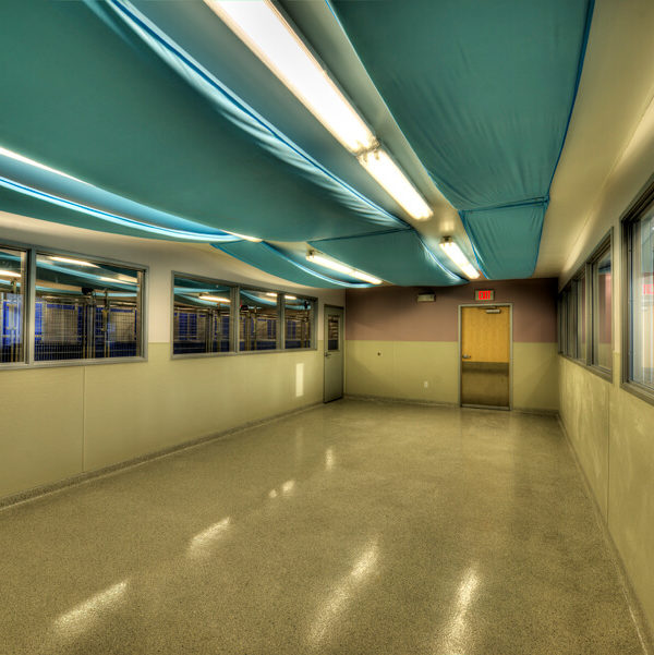 Memorial Animal Hospital Millstone Management Group